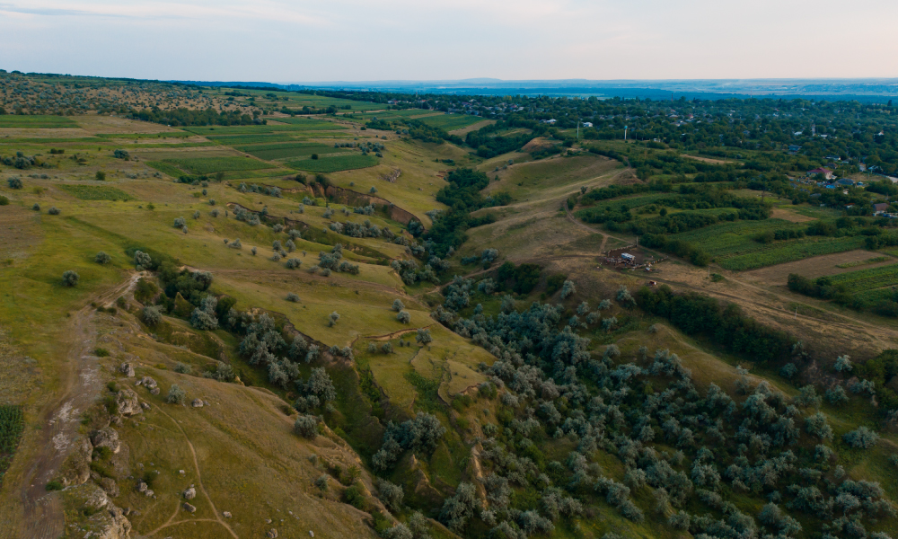 Покупка и продажа земельных участков