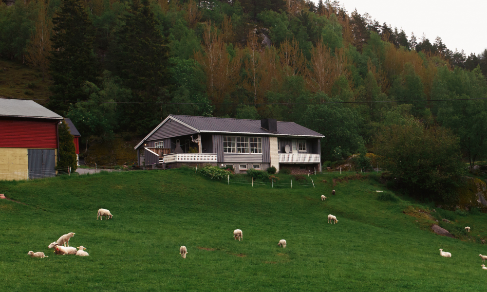 Покупка и продажа загородных домов